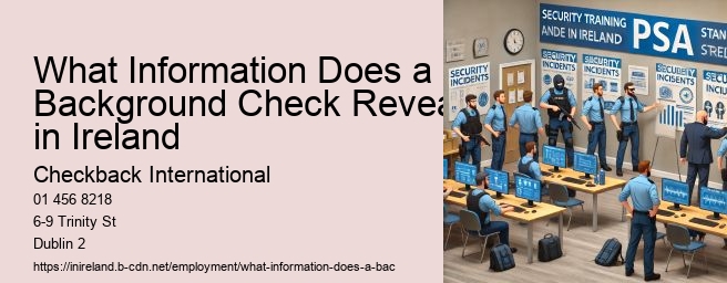 What Information Does a Background Check Reveal in Ireland