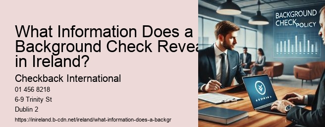 What Information Does a Background Check Reveal in Ireland?